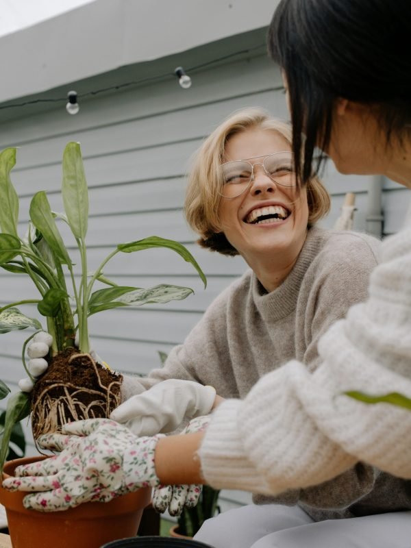 pexels-cottonbro-9724436 pexels-cottonbro-9724436